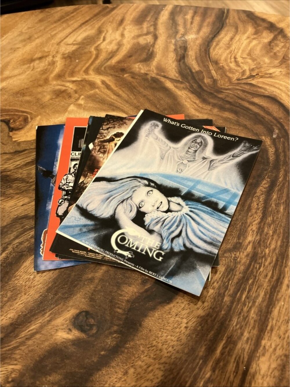 Assorted Horror Movie Poster Postcards Lot Of 10 - A9